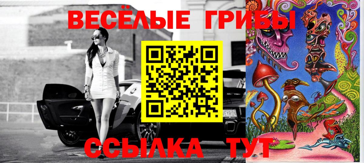 Галлюциногенные грибы мицелий Калининград