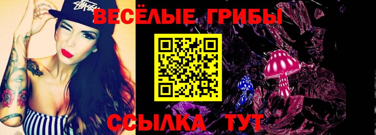 Калининград  Псилоцибиновые грибы мухоморы  Псилоцибиновые грибы GOLDEN TEACHER  Вход с VPN 