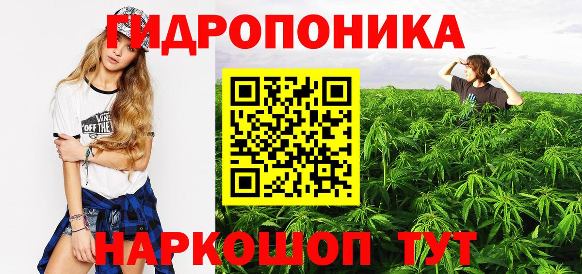 Калининград  Каннабис конопля  Вход с VPN  Шишки марихуана марихуана  Каннабис MAZAR 